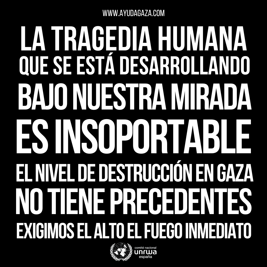 🔴 #Gaza se encuentra ante una situación límite. El nivel de destrucción y muerte no tiene precedentes. Y se está desarrollando bajo nuestra mirada.

LA TRAGEDIA HUMANA ES INSOPORTABLE.

#CivilesGazaNoSonObjetivo