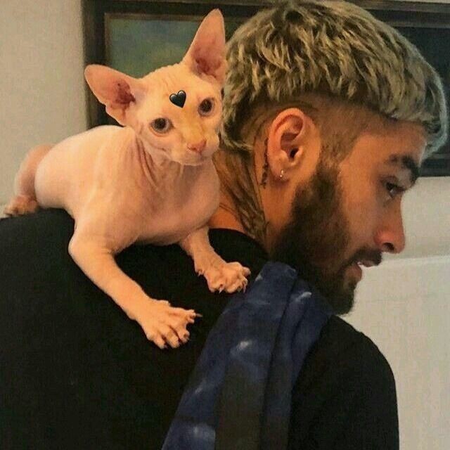icarustoxic's tweet photo. dos 4 artistas que eu mais escuto, elimine um.

- Luisa, Zayn, Justin e Queen https://t.co/4xDozuoJha