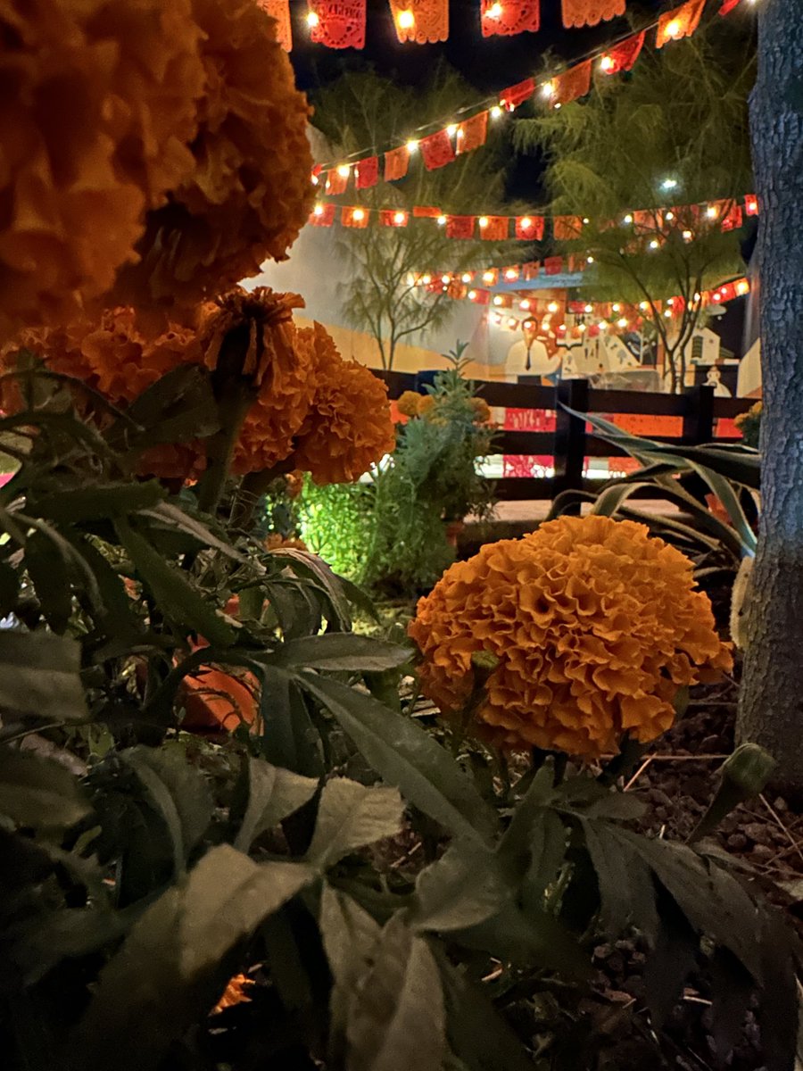 Parque ⁦<a href="/ClinicaMexico/">Clinica Mexico</a>⁩ , Piedras Negras Coahuila .