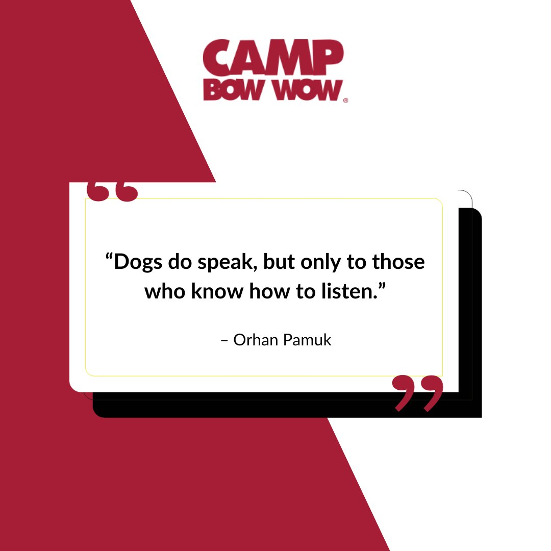 Do You Agree? 🤔
.
.
.
.
.

#DogWisdom #ListenToDogs #DogLanguage #QuoteOfTheDay #DogLovers #DogQuotes #DogTalk #FurFamily #DogsOfFacebook #PetLove #MansBestFriend #HeartfeltQuotes #DogWhisperer #campbowwow #campbowwowcypress