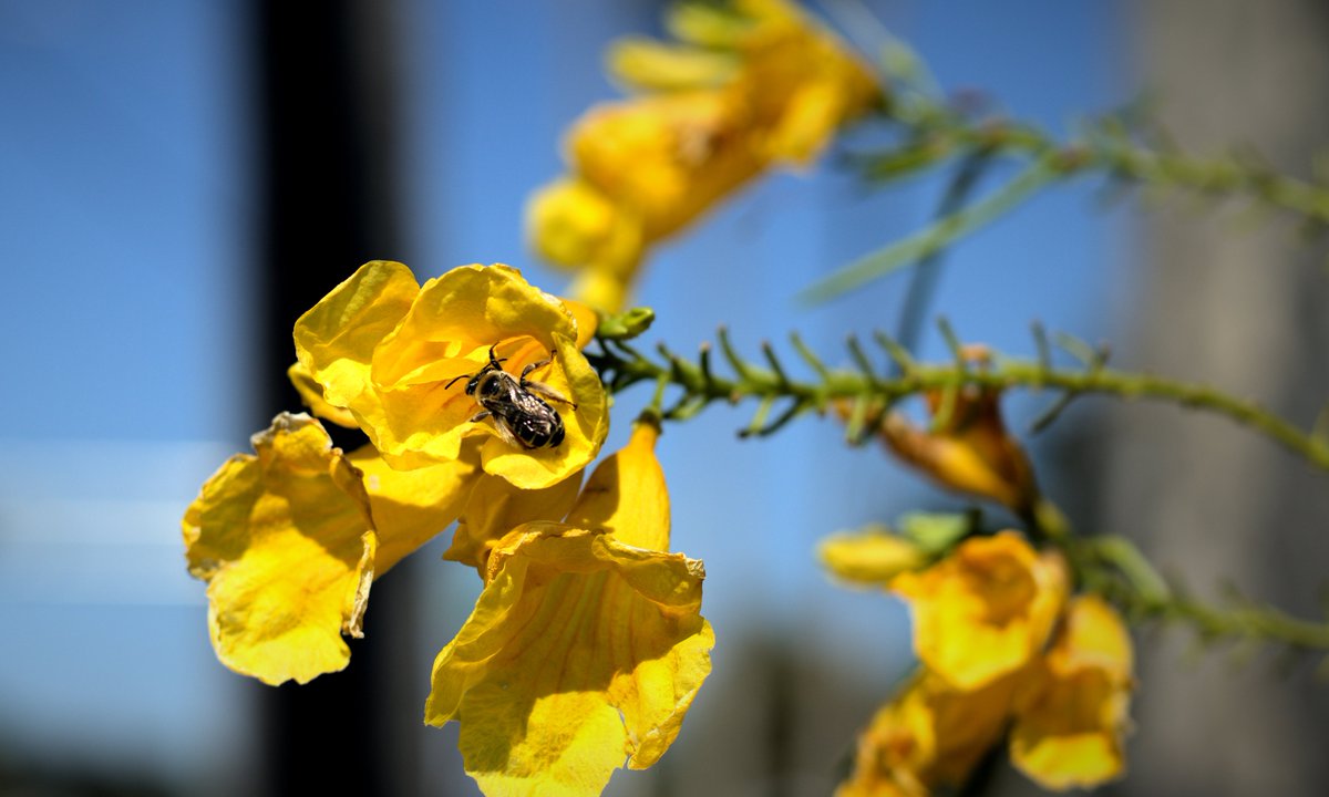 TechLifeJulio's tweet image. Getting back into photography.