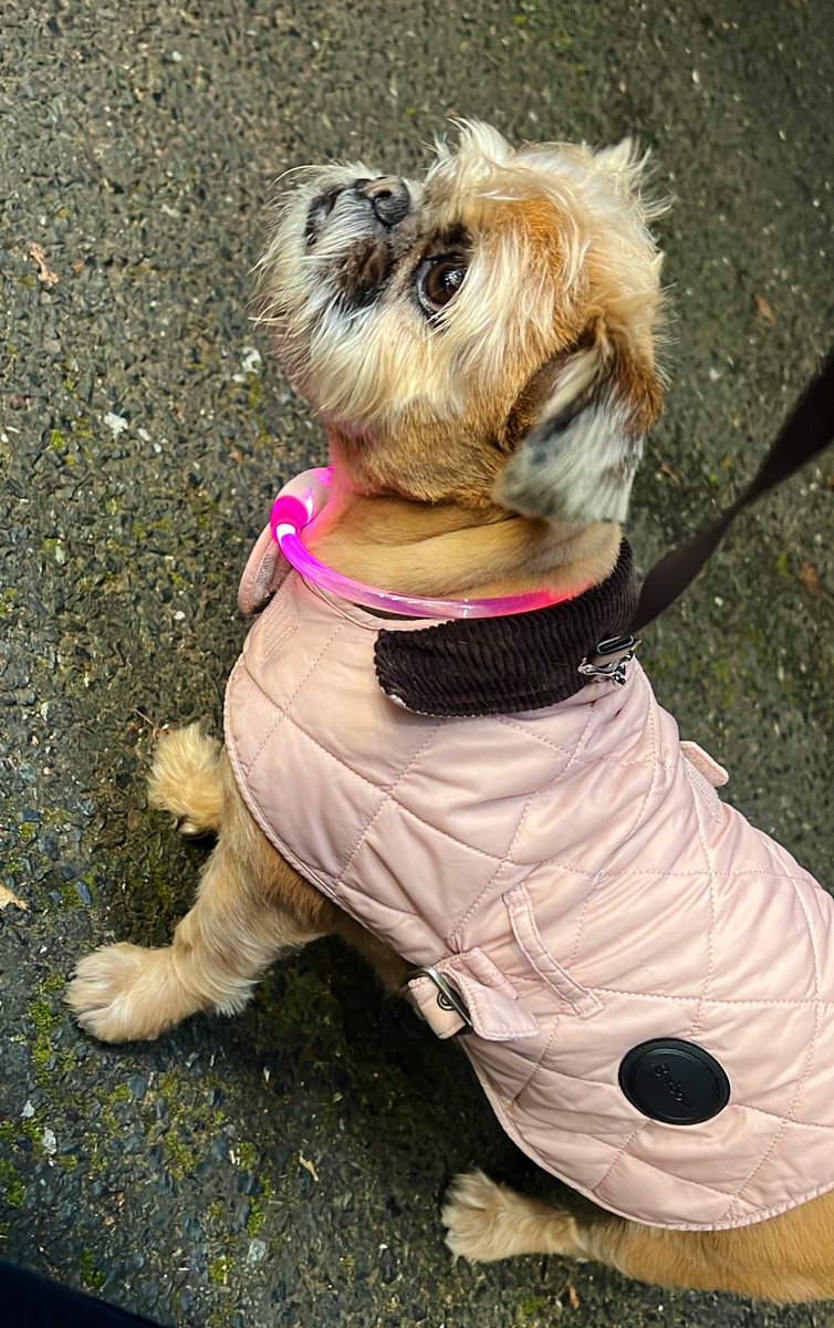 JoeBe_Fresh's tweet image. Disco DiDi for those dark nights!!! 💗