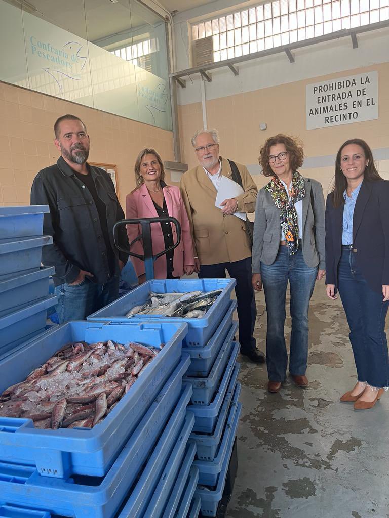 GVAagricultura's tweet photo. El DG de Pesca, Francisco J. Espinós, ha visitado hoy Castellón para reunirse con los patrones mayores y representantes de las Cofradías de Castellón y Peñíscola. Encuentros que han servido para seguir valorando la situación del sector pesquero en la provincia. (1/2) https://t.co/NVzt6Bn5tS