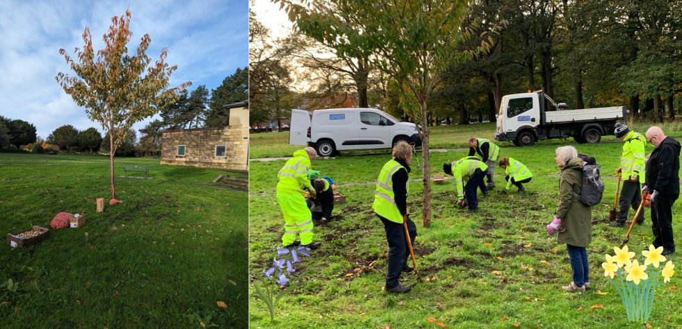 Huge thanks to the Friends of Skerton School for the generous donation to the Friends of Ryelands Park. This went towards 1,000s of bulbs that will give a colourful display from Spring to Summer. Thanks to The Friends, Cllrs Redfern & Thornberry & @LancasterCC for the digging!