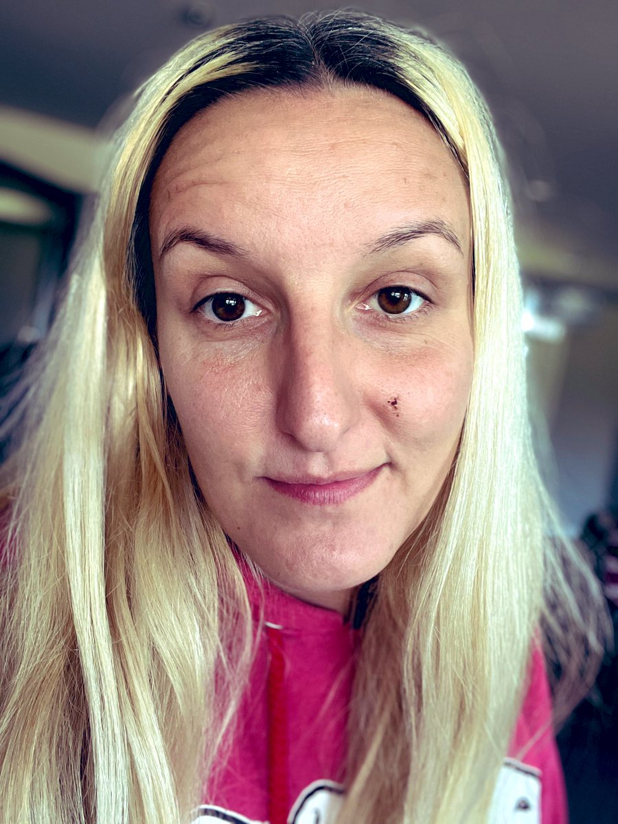 Cogs Dogs tweet media