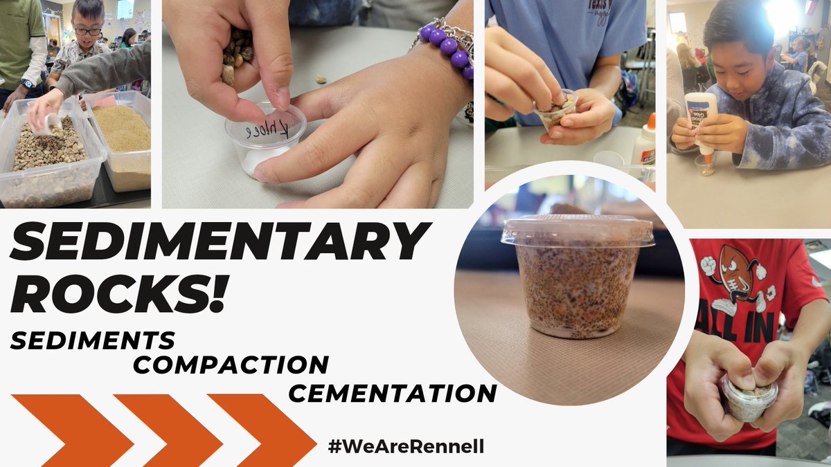 Kristi Shepherd tweet media