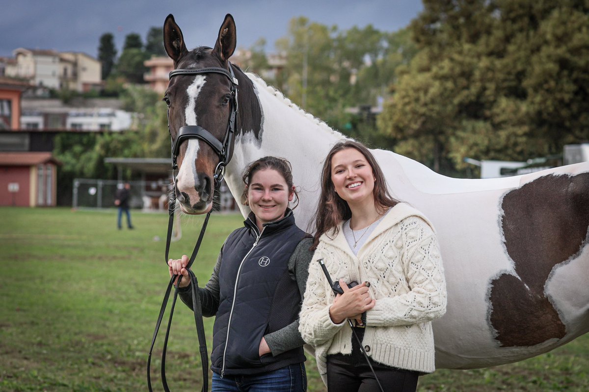 Andrew Hoy OAM OLY tweet media