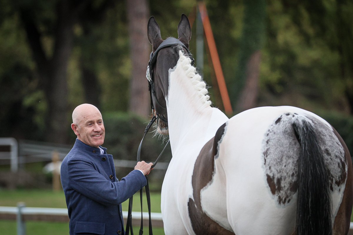 Andrew Hoy OAM OLY tweet media