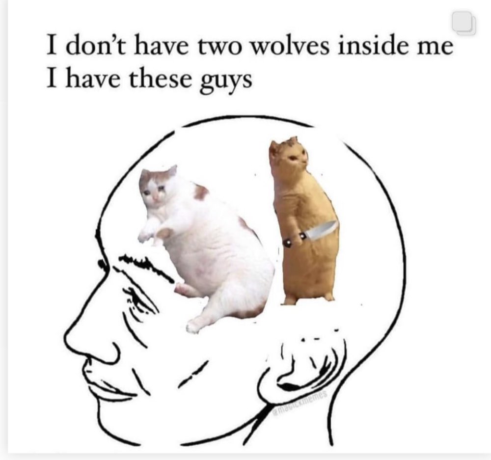 Sube una foto random o todo te saldrá mal en noviembre