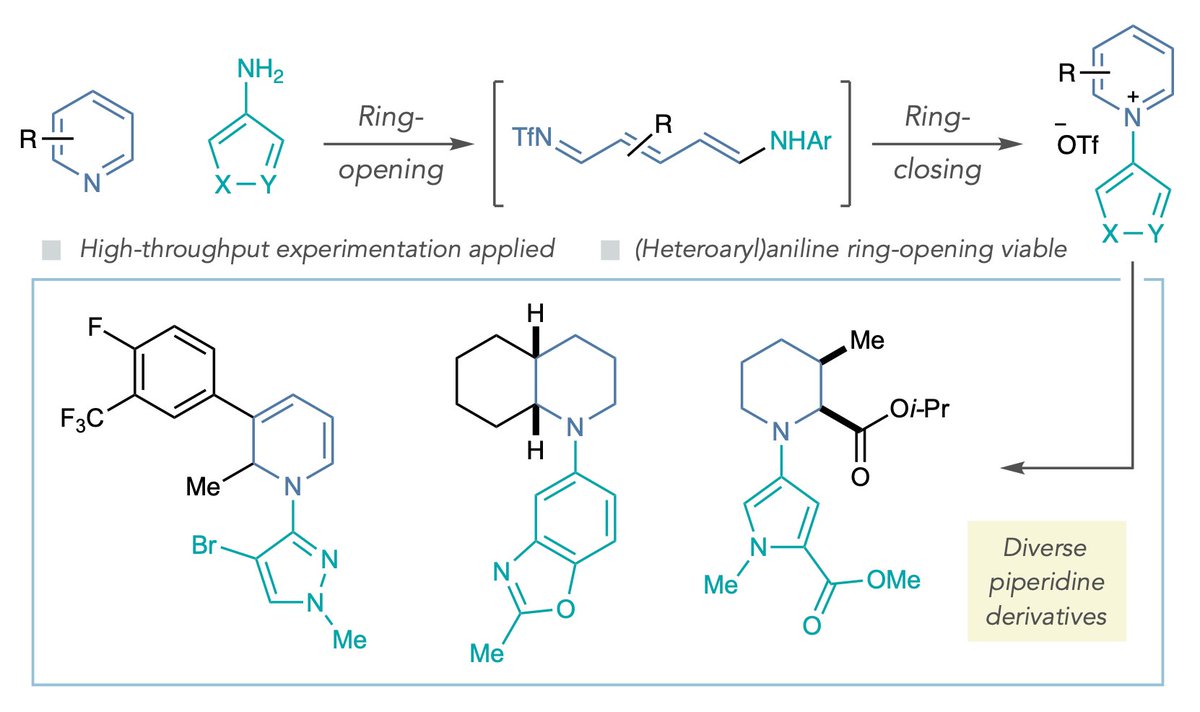 Second paper to celebrate today in collaboration with Merck. A General Strategy for N–(Hetero)aryl Piperidine Synthesis @ChemRxiv: tinyurl.com/2kpvut9v Congrats to all involved! @Acoustic_Chem @matthewmaddess @TheIngles22@csu_chemistry #MerckChemistry
