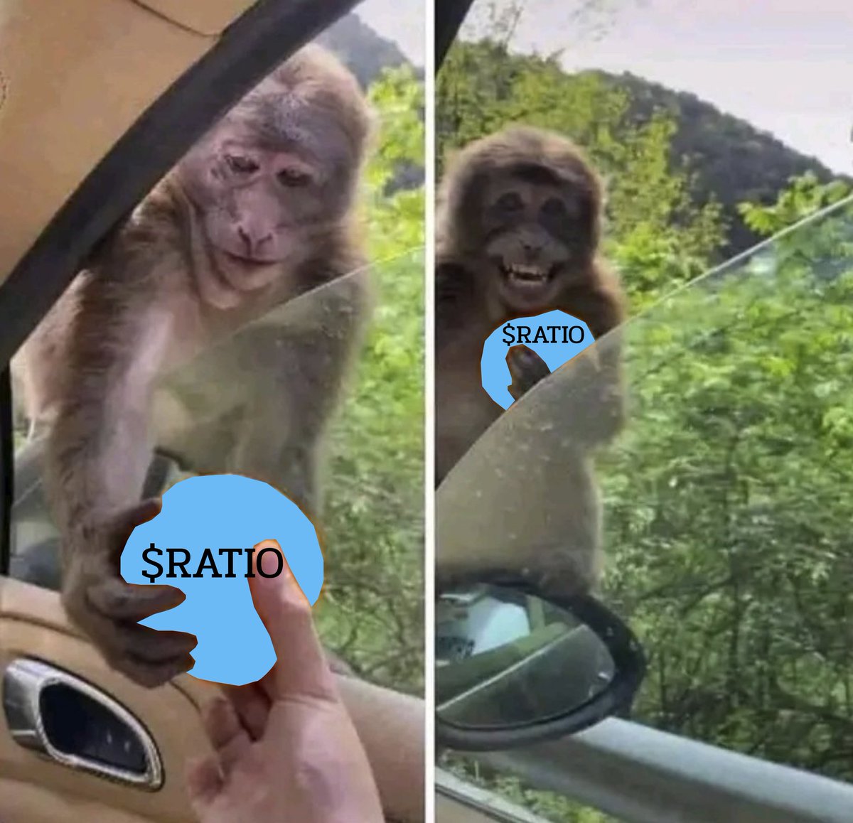 Pronix | ❤️ Memecoin tweet media