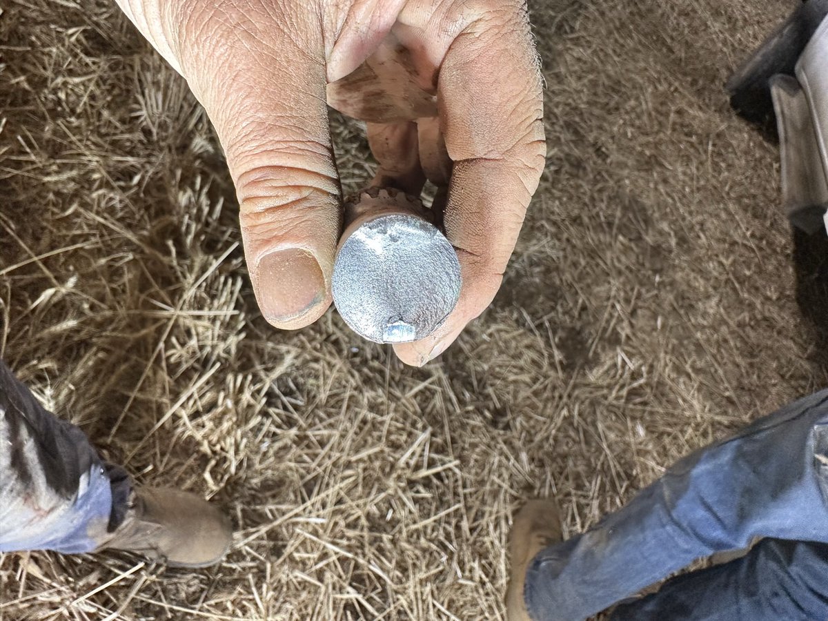 Dave_Newbigging tweet media