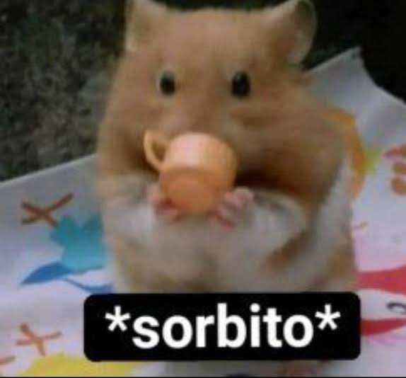 SinaiDavalos's tweet photo. Yo después de decir mi humilde opinión y dejar que el mundo arda https://t.co/Usme9YLcUS