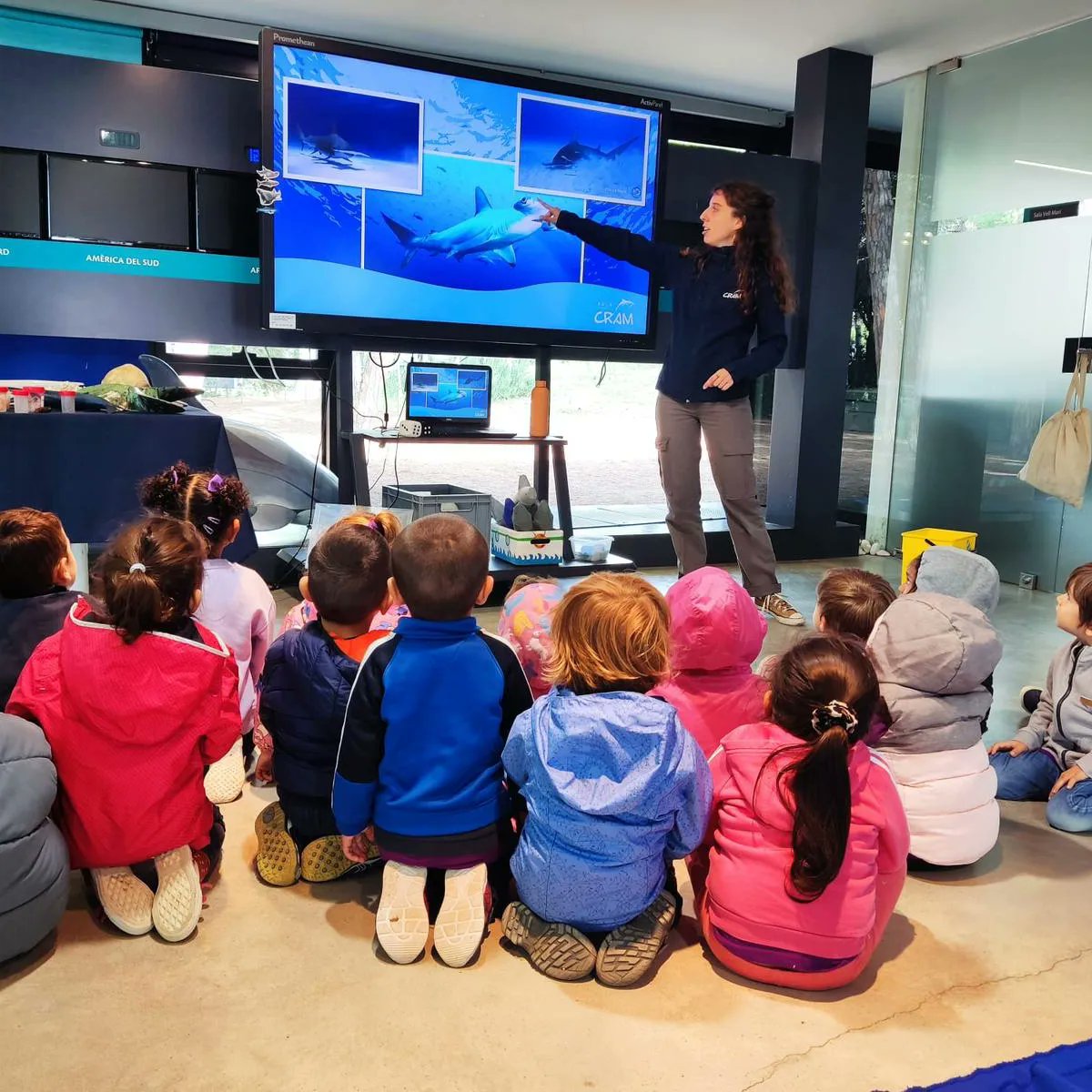 grasisoler's tweet photo. Els taurons han fet la seva primera sortida! I que millor que fer el taller “Cuidem als taurons” al CRAM! Allà hem descobert moltes coses i tornem amb la motxilla plena d’aprenentatges i molts molts somriures!!! Per moltes més primeres vegades juntets!!
@fundaciocram
#taurons https://t.co/pVTexUQHN8