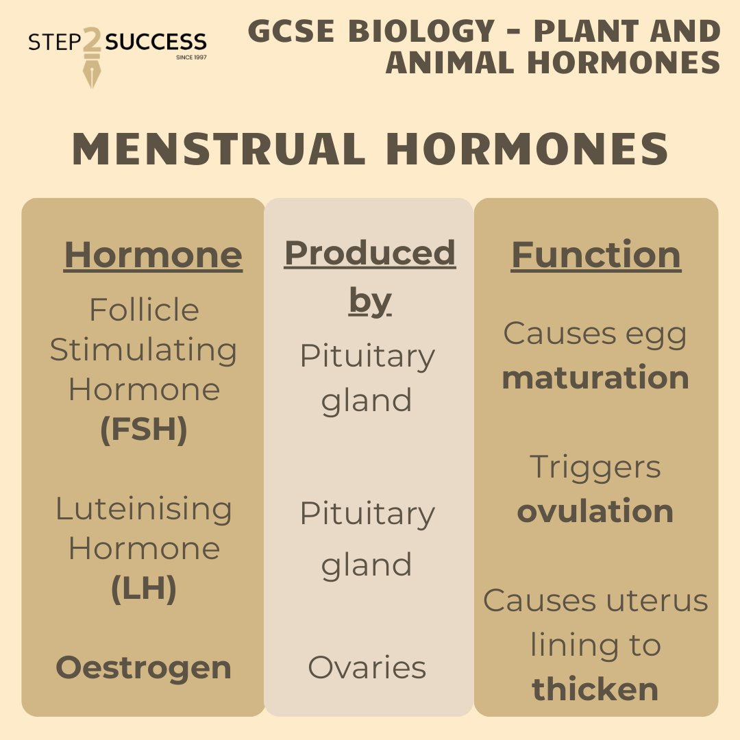 Step2SuccessUK's tweet photo. A tricky topic even for higher tier students, the hormones of the menstrual cycle are always out to cause confusion! We’ve put together a guide to show how the hormones interact with each other to control the menstrual cycle. https://t.co/gVWEOfhzgl