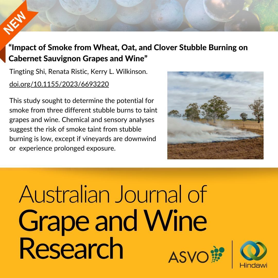 Stubble burn offs are a regular occurrence in Australian agriculture. This study sought to determine the potential for smoke from three different stubble burns to taint grapes and wine. Read the paper on Hindawi here: doi.org/10.1155/2023/6…