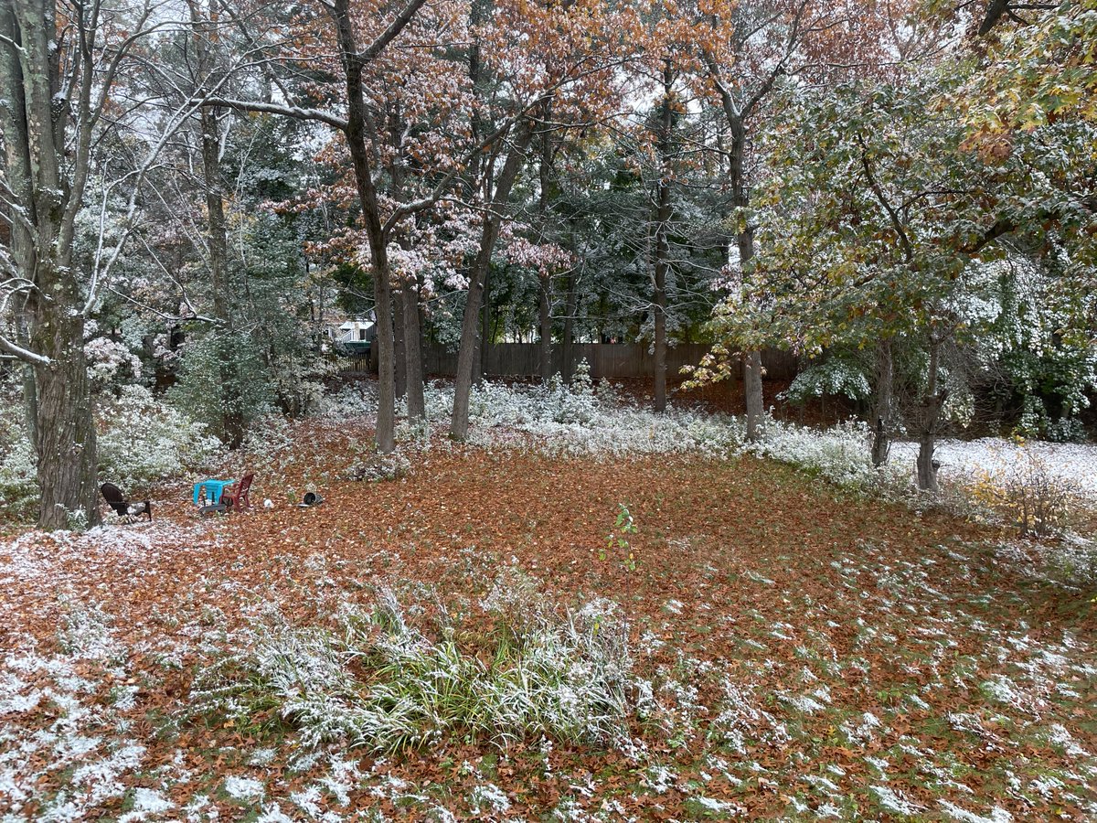 While I don't condone sticky snow on November 1st, I can't deny how pretty it is!