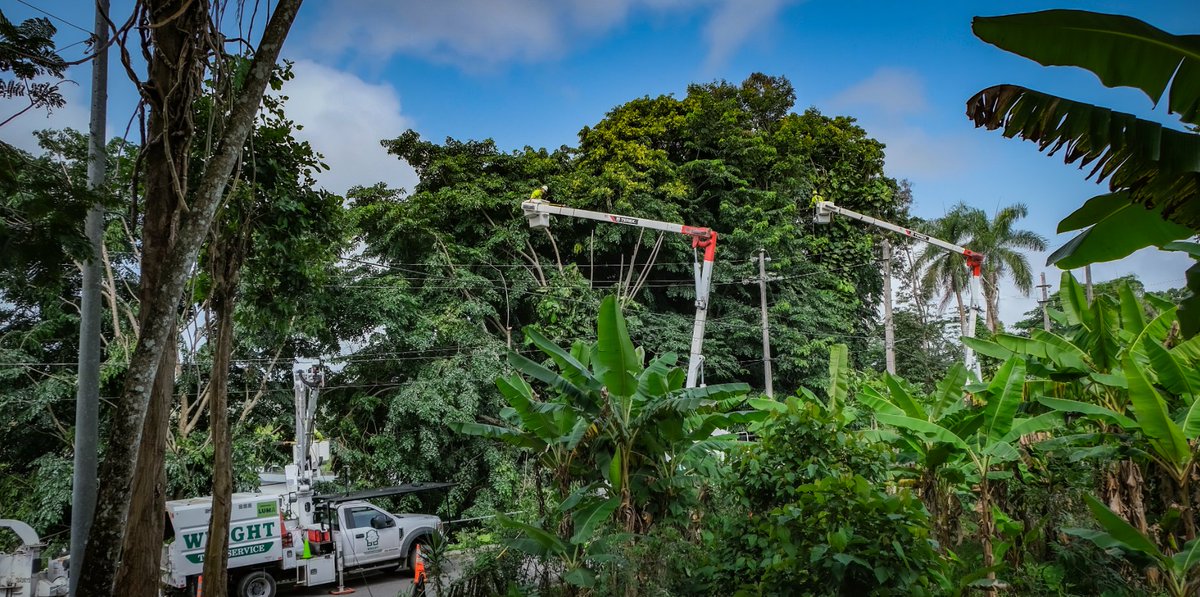lumaenergypr's tweet photo. Como parte de este esfuerzo, nuestras brigadas despejaron recientemente vegetación en el barrio Honduras de #Barranquitas. Hasta hoy, LUMA ha despejado sobre 3,500 millas de vegetación en toda la isla. #ProgresodeLUMA #MejorasPlanificadas https://t.co/p1QiIjR75d