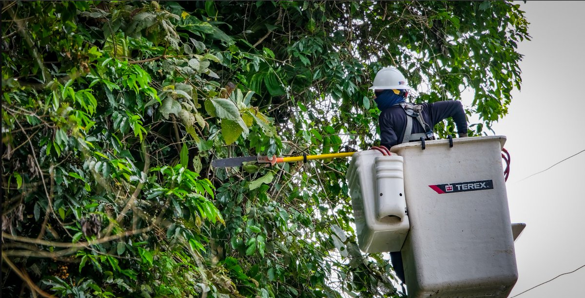 lumaenergypr's tweet photo. Como parte de este esfuerzo, nuestras brigadas despejaron recientemente vegetación en el barrio Honduras de #Barranquitas. Hasta hoy, LUMA ha despejado sobre 3,500 millas de vegetación en toda la isla. #ProgresodeLUMA #MejorasPlanificadas https://t.co/p1QiIjR75d