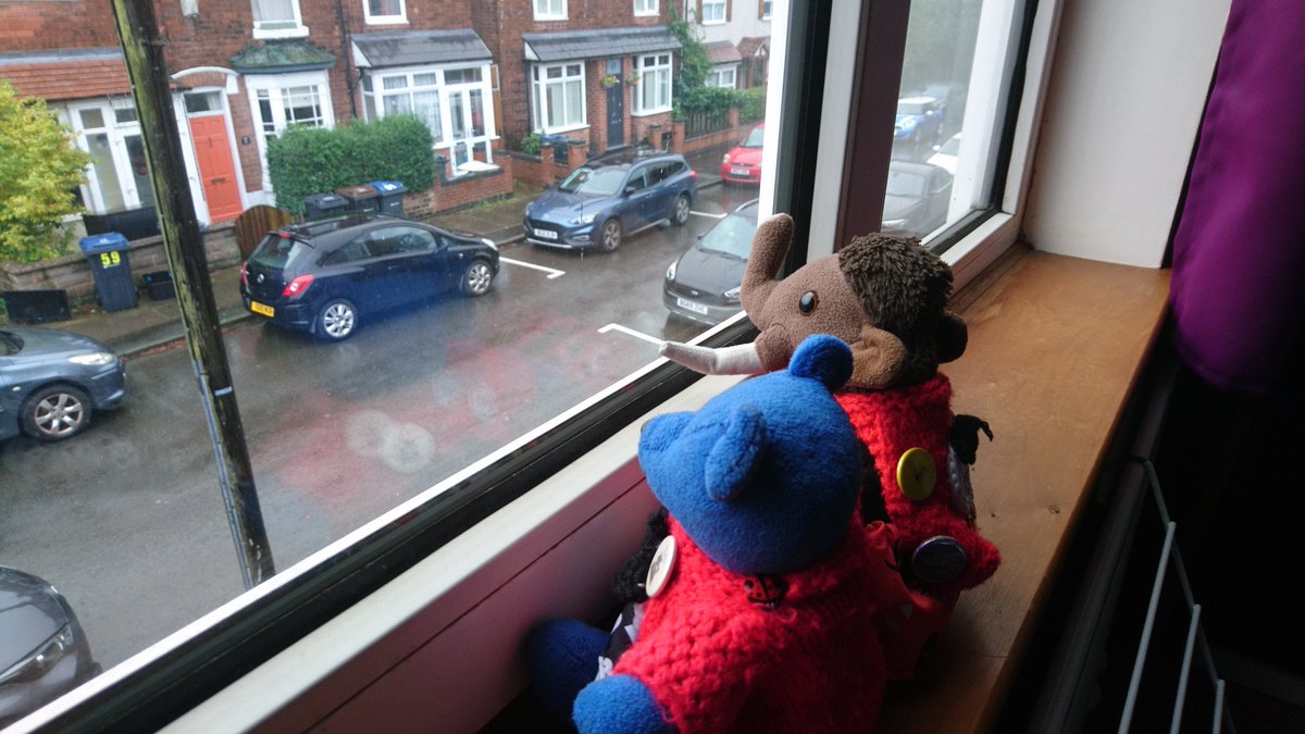RedditchMammoth's tweet photo. 'Absolutely #driech today, Blueberry.' 'Not worth going out today, Milly.' 'How's the cheese situation in the house?' 'Pretty poor, actually. Human still hasn't done a proper supermarket shop this week.' 'At least we still have leftover Halloween candy'. #rainyday β #StormCiaran https://t.co/jgZcf6yJro