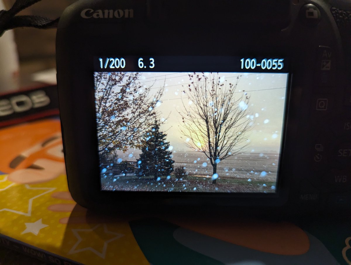 katelynclimer's tweet photo. New camera.
First snow of year.
Beautiful backyard photo.
No filter. 10.31.23. https://t.co/BIvcenWxFz
