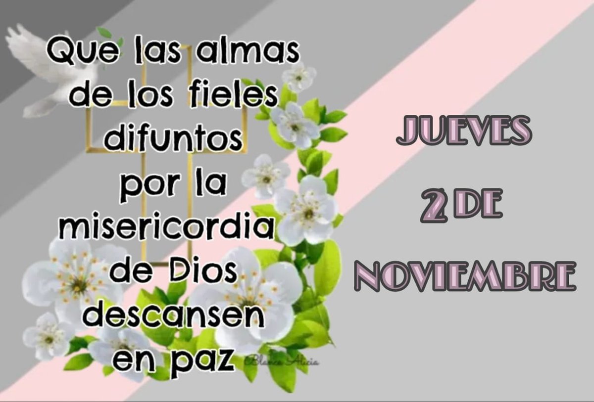 LeonMisiones's tweet photo. Pedimos por todos los fieles difuntos hoy• https://t.co/hQf0YOu9Pv