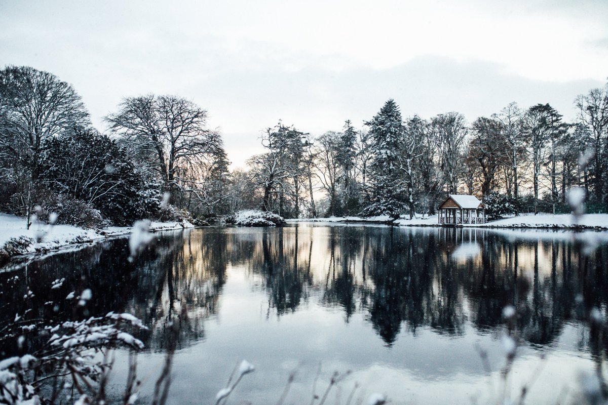 Northern Ireland (@discoverni) on Twitter photo Just one month until Christmas Day! Do you think we'll see a white one? ❄️
📍 <a href="/HillsCastle/">Hillsborough Castle and Gardens</a> & Gardens
📍 Glenpark Estate
📍 <a href="/HinchDistillery/">Hinch Distillery</a>
📍 <a href="/MontaltoEstate/">Montalto Estate</a>
#EmbraceAGiantSpirit #MyGiantAdventure Just one month until Christmas Day! Do you think we'll see a white one? ❄️
📍 <a href="/HillsCastle/">Hillsborough Castle and Gardens</a> & Gardens
📍 Glenpark Estate
📍 <a href="/HinchDistillery/">Hinch Distillery</a>
📍 <a href="/MontaltoEstate/">Montalto Estate</a>
#EmbraceAGiantSpirit #MyGiantAdventure