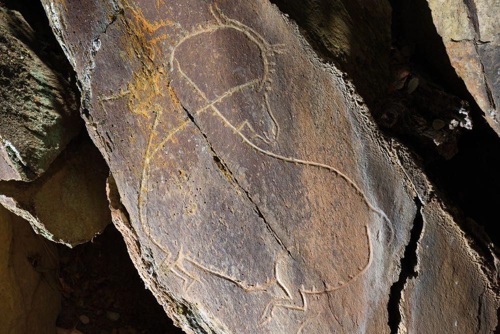 [L'ART PRÉHISTORIQUE]
Visioconférence mardi 7 novembre à 18 h 
Avec Thierry Aubry du Museu do Côa (Portugal), spécialiste de l'art paléolithique.

Info et inscription : musee-aquitaine-bordeaux.fr/fr/evenement/c…