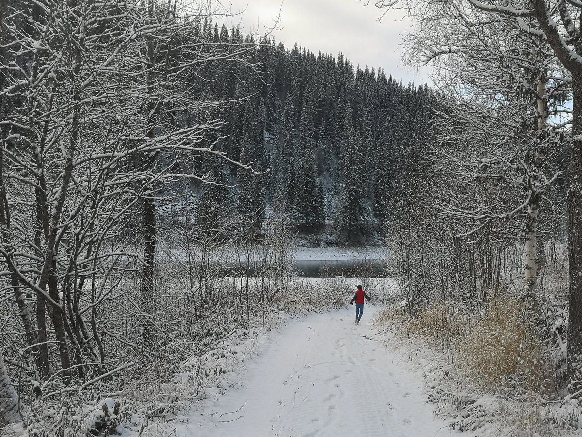 Liz Morris-Webb tweet media