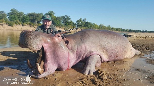 A terribly sad day for wildlife as the Hunting Trophies Import Bill has been killed dead in the water &amp; will now NOT become law. Pro bloodsport peers &amp; Conservatives have done this, allowing animal killers to bring trophies into the UK. Let’s hope Labour will be different.