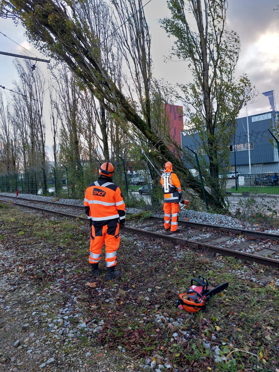 chabanelm's tweet image. Arbres sur les voies, disjonctions électriques… 
La tempête #Ciaran a déjà provoqué plusieurs incidents sur le réseau ferré. Près de 4000 agents @SNCFReseau sont mobilisés pour assurer une reprise du trafic en sécurité.
Merci à toutes les équipes engagées !