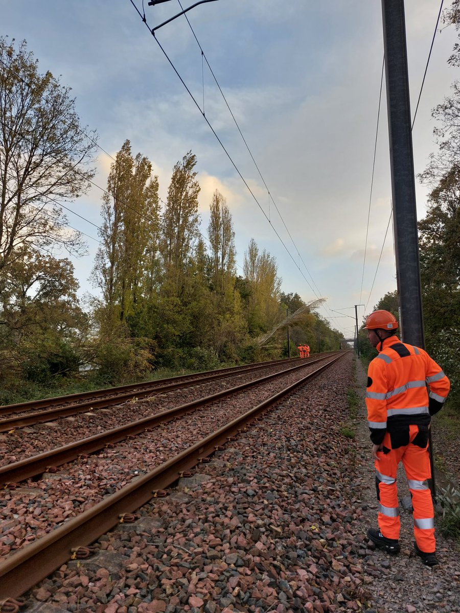 chabanelm's tweet image. Arbres sur les voies, disjonctions électriques… 
La tempête #Ciaran a déjà provoqué plusieurs incidents sur le réseau ferré. Près de 4000 agents @SNCFReseau sont mobilisés pour assurer une reprise du trafic en sécurité.
Merci à toutes les équipes engagées !