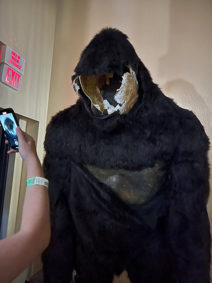 HarleyHoosk's tweet photo. Currently missing the Aquatifur gorilla so much 😭 https://t.co/ddFPpjO21M