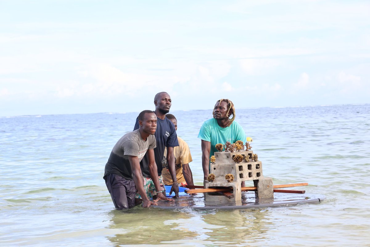 UKinKenya's tweet photo. Community-led conservation efforts are a vital part of tackling climate change and protecting our 🌍 for future generations. 

The King visited Kuruwitu Marine Conservancy where coral restoration &amp; community-led initiatives have improved catches 🐟 while protecting the ocean🐠. https://t.co/L7PXUXUOBX