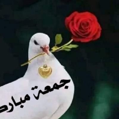 bulent ayas tweet media