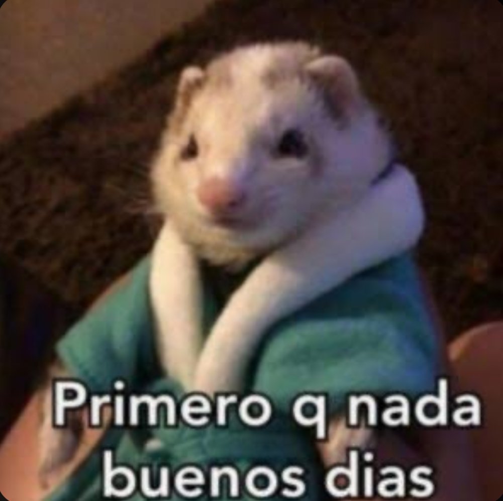 carmeliiru's tweet image. Buenos días 🙌🏽✨ que todo nos sea leve 🫶🏼 #RicoYPoderoso