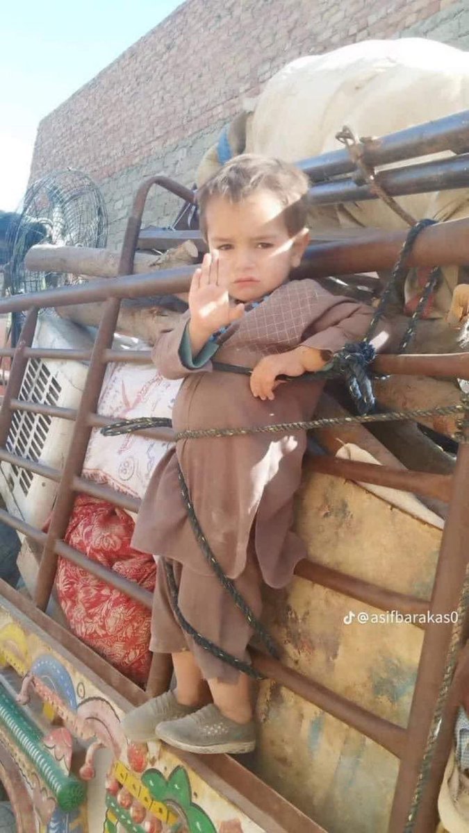 Melat aria tweet media