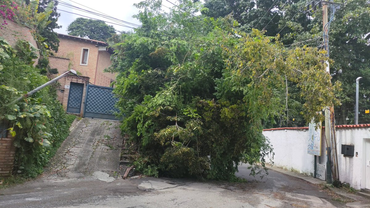 Árbol caído en la calle la ceiba del peñon desde hace 3 días sobre los cables de alta tensión de un poste. Una vergüenza la capacidad de respuesta de la <a href="/AlcaldiaBaruta/">Alcaldía de Baruta</a> y de <a href="/CopoelecJusta/">Malvi Parada</a>. Desde el día 20 de octubre se dió la alerta.