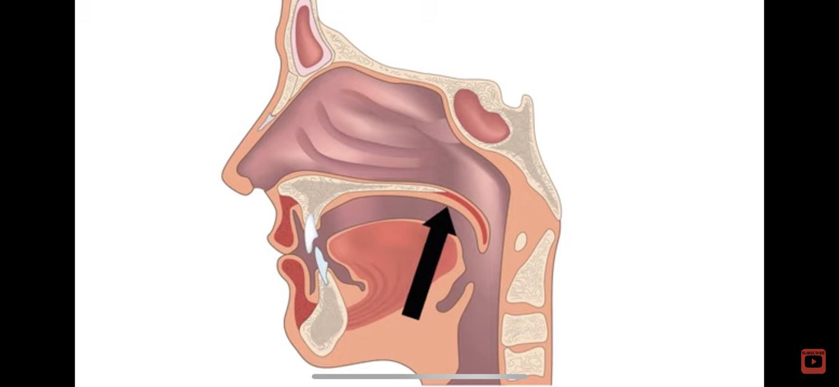speedy_speech's tweet photo. إن شاء الله موضوعنا القادم عن : 

Function of soft palate  

وظيفة سقف الحلق الرخو  ⌛️⌛️

SLP / Moustafa khaled 
Bachelor’s Degree of speech &amp; language disorders

#Distance_Consulting  
#Register_Now
 #Speechgherapy  #speech_pathologist  #speech_therapist  #ASD  
#نطق_وتخاطب https://t.co/tWrZBVU7ix