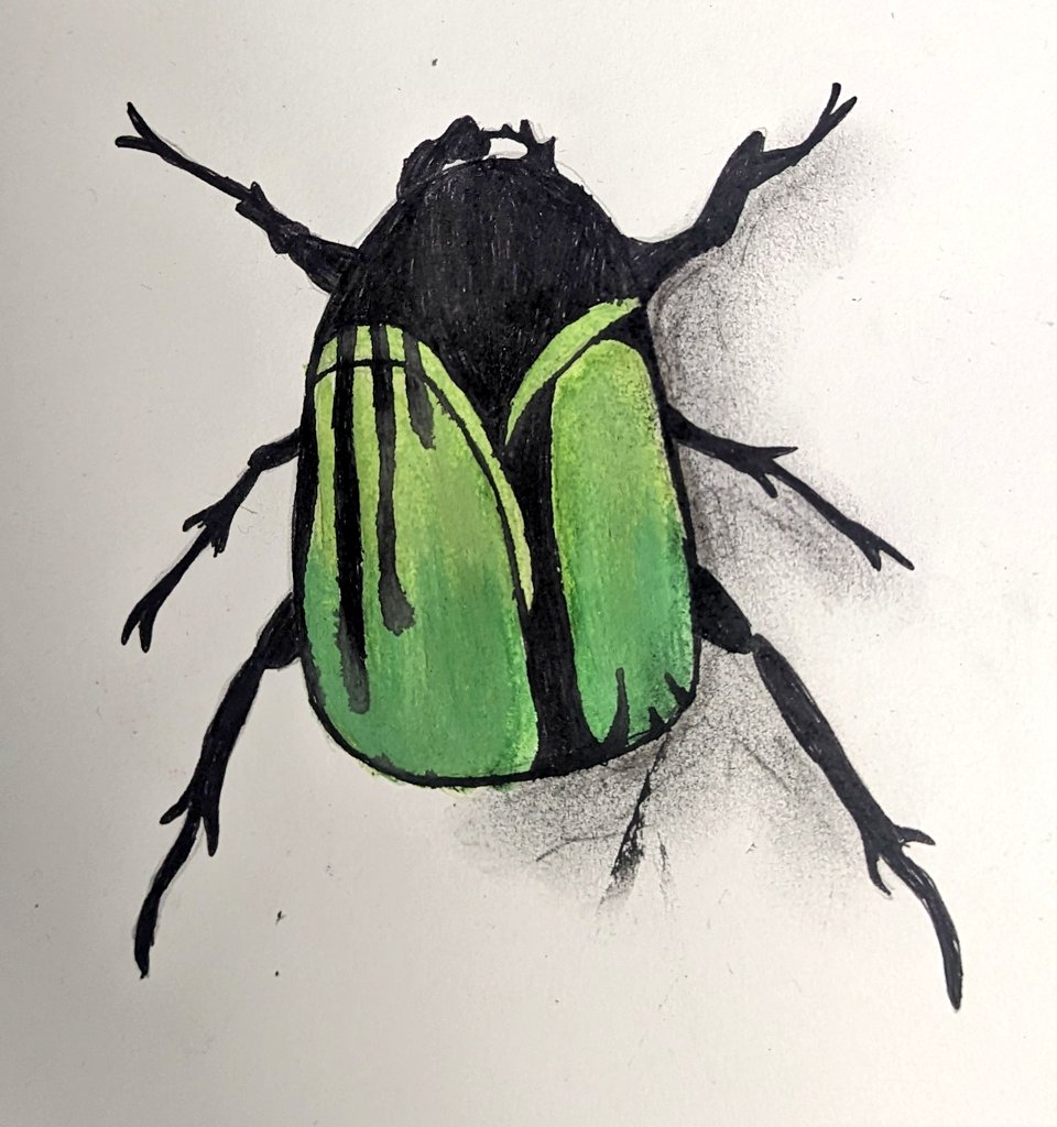 MrsCRobinsonArt's tweet photo. Year 7 being absolute superstars in lessons this week! #InsectsProject #Watercolour #Inky https://t.co/VW7GtGEMdC