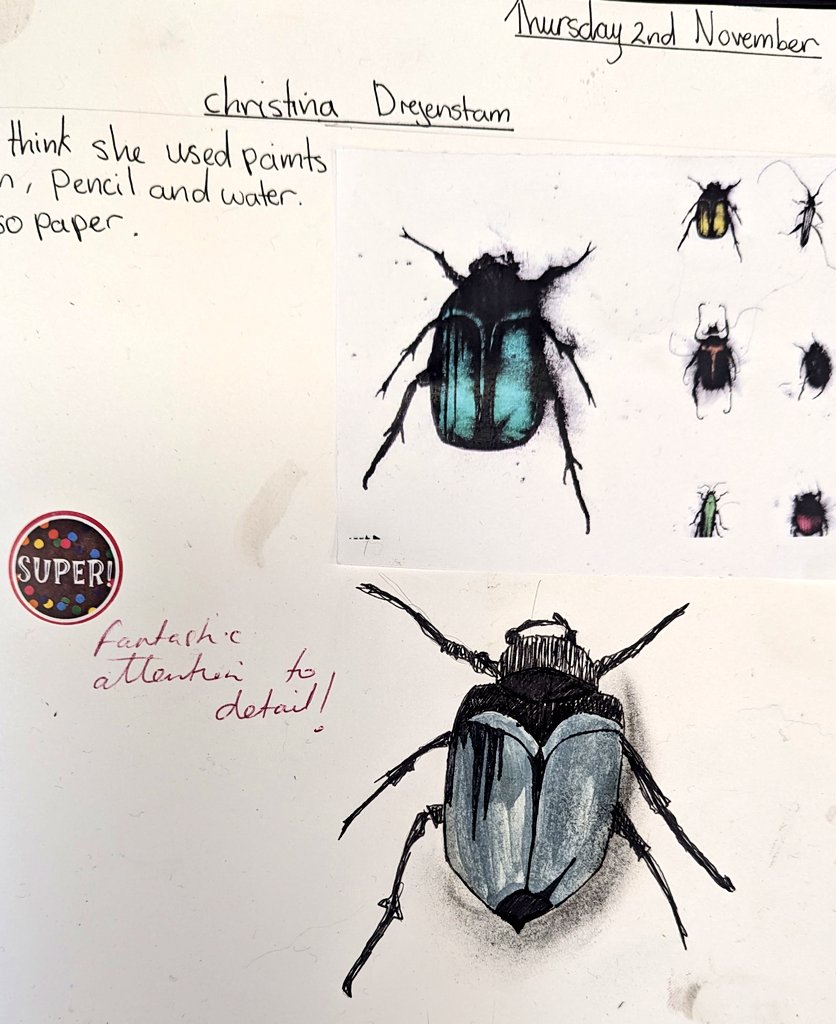 MrsCRobinsonArt's tweet photo. Year 7 being absolute superstars in lessons this week! #InsectsProject #Watercolour #Inky https://t.co/VW7GtGEMdC