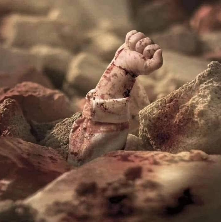 Dr Ali Selim tweet media