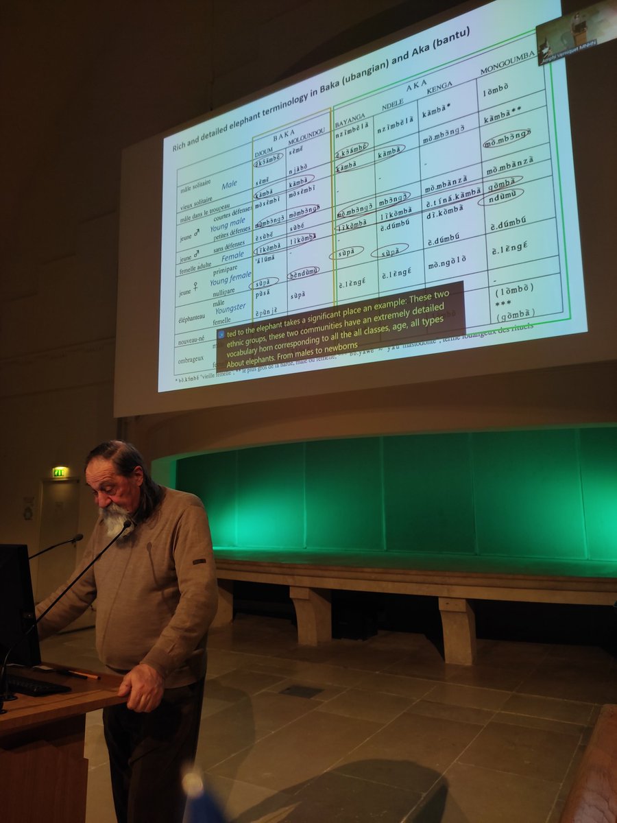 _forestelephant's tweet photo. Serge Bahuchet du MNHN nous a édifié sur la place de l'éléphant dans la culture et la mythologie des sociétés pygmées à travers l'Afrique centrale et sur l'évolution historique de leur implication dans la chasse pour l'ivoire. https://t.co/7OlNLRMFKY