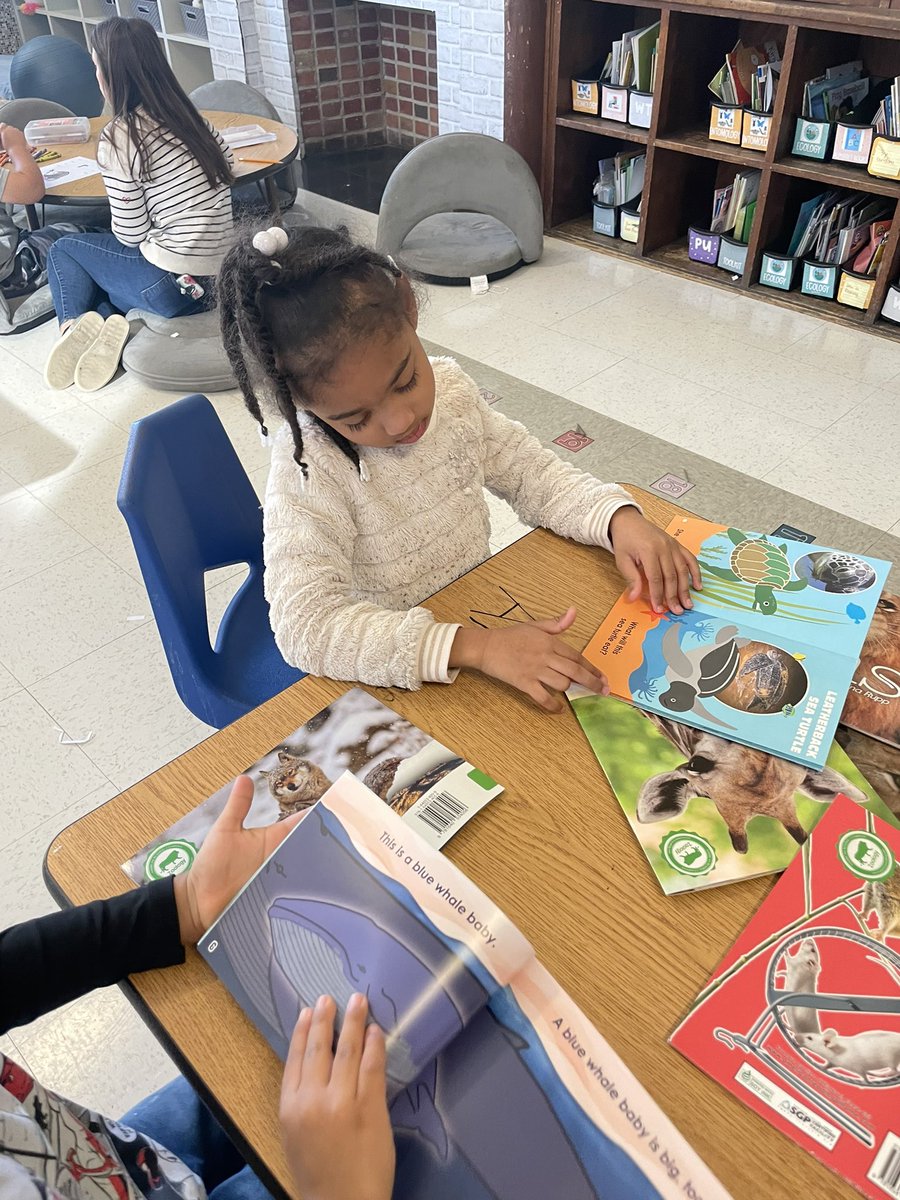 Ms. Aloia (@msaloia) on Twitter photo Check out these zoologists reading all about animals! ๐๐ฆ๐ข๐<a href="/MsTharas/">MsTharas</a> <a href="/ParkPrinc/">Emily Macias-Capellan</a> <a href="/EMercadoAP/">Ellie Mercado</a> <a href="/OssiningSchools/">Ossining UFSD</a> Check out these zoologists reading all about animals! ๐๐ฆ๐ข๐<a href="/MsTharas/">MsTharas</a> <a href="/ParkPrinc/">Emily Macias-Capellan</a> <a href="/EMercadoAP/">Ellie Mercado</a> <a href="/OssiningSchools/">Ossining UFSD</a>