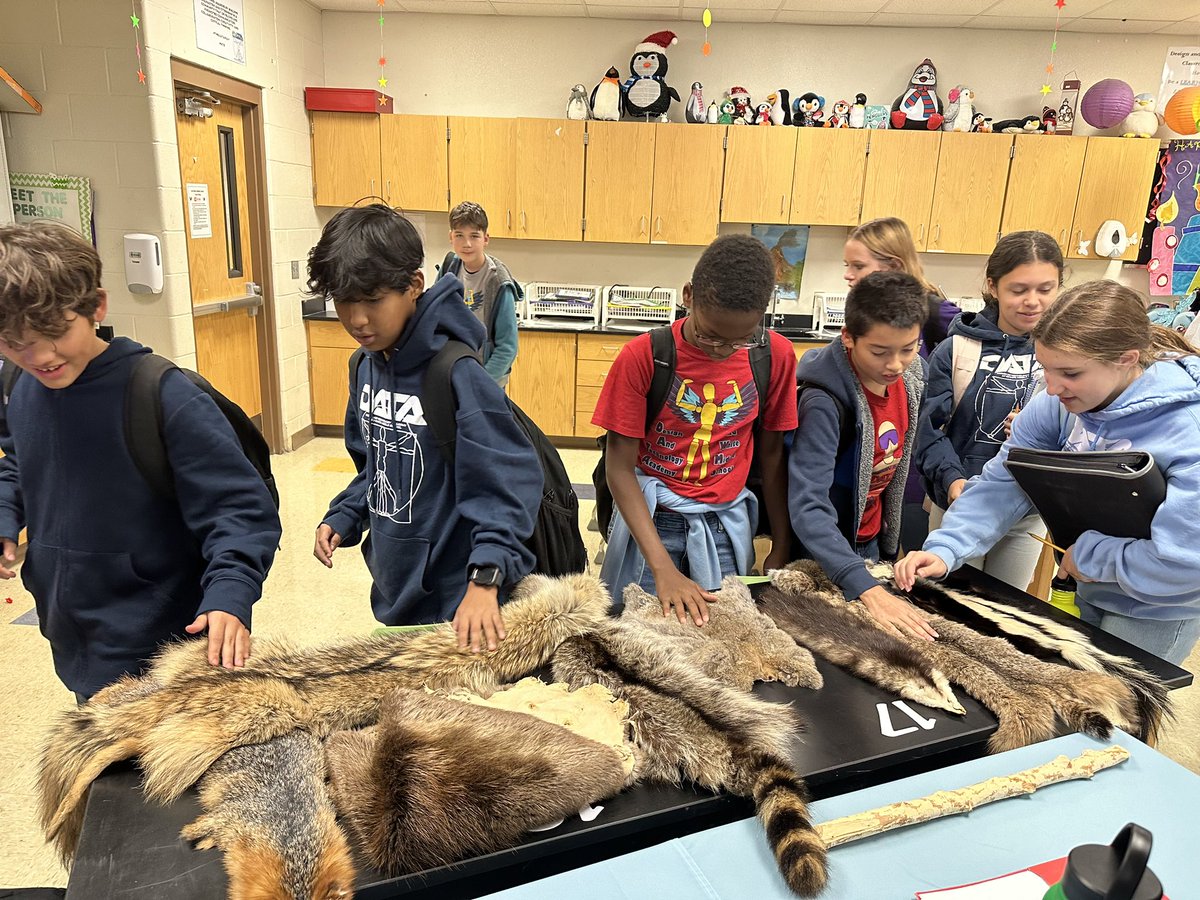 Thank you to the @texaswildlife for presenting to our 7th graders on native skulls and skins and how to be a good stewards of our wildlife! @dataedwhite @EdWhiteScience #theDATAway #DATAdoes #DATAamazing #sciencerules