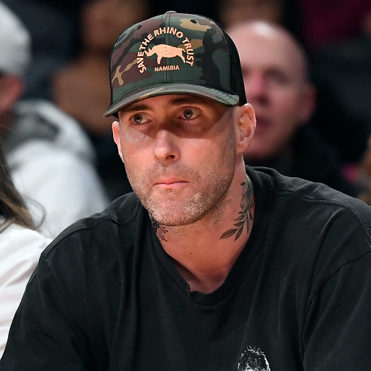 Mirando si aún están mis amigos por acá 👀