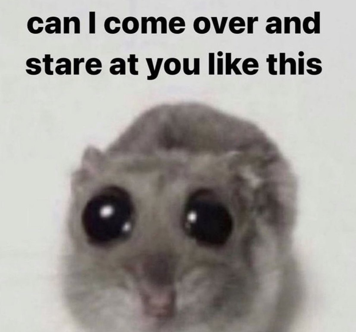 no context memes (@weirddalle) on Twitter photo 
