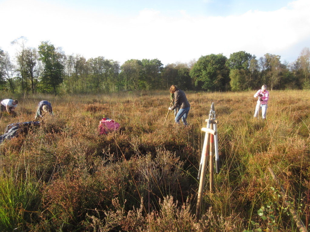 Als je as. zaterdagochtend niets te doen hebt en je je wel nuttig wilt maken.
Kom dan op de #natuurwerkdag helpen in het Soesterveen. #Soest 
Aanmelden kan via de link, natuurwerkdag.nl/klussen/help-m…
@Natuurmonument <a href="/LandschErfgoed/">Landschap Erfgoed Utrecht</a> <a href="/SoesterHoogveen/">Stichting Behoud Soester Hoogveen</a>