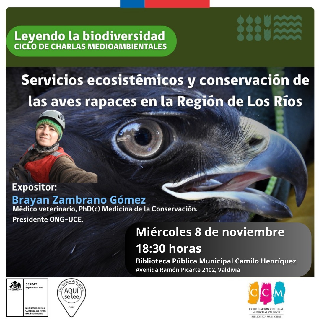 Red Bibliotecas Públicas Los Ríos tweet media