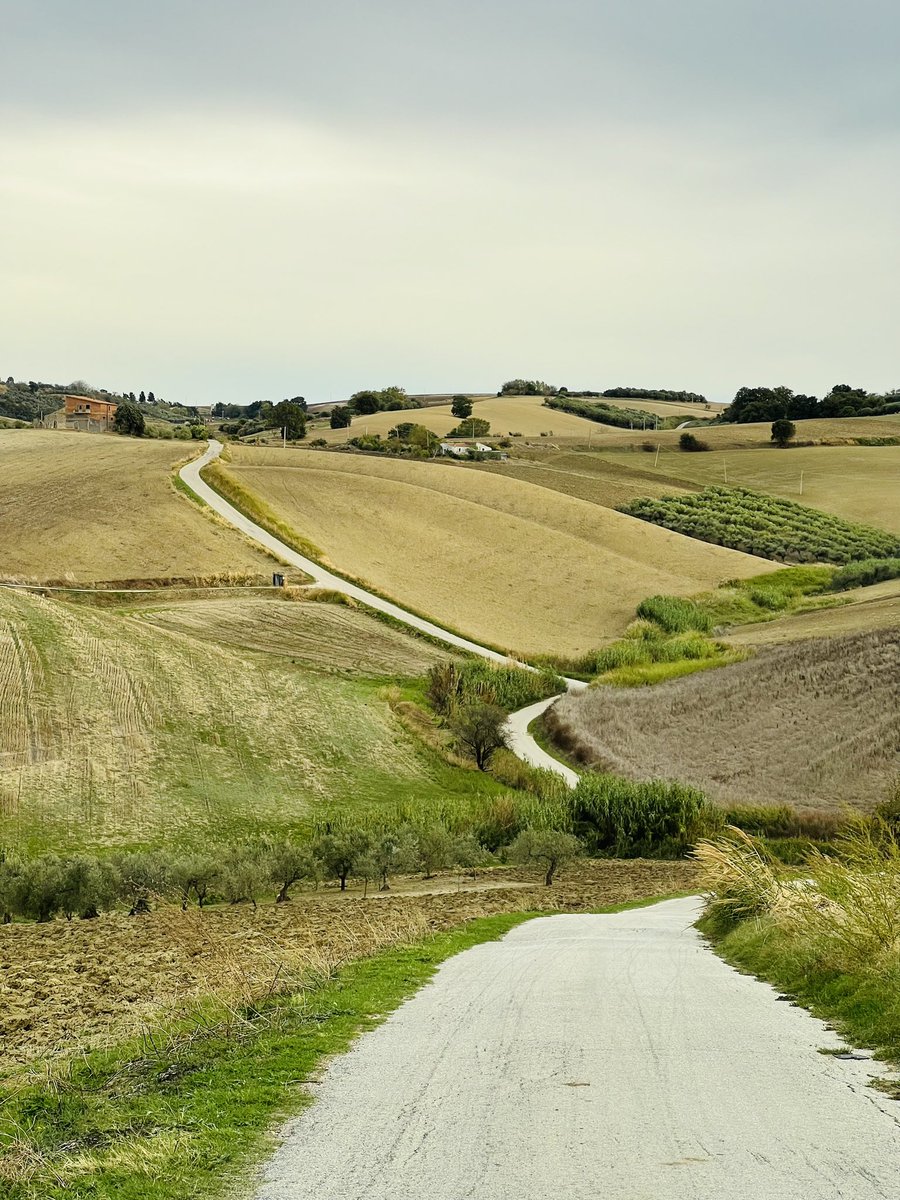 Ingrid Schouten🇮🇹🇳🇱 tweet media